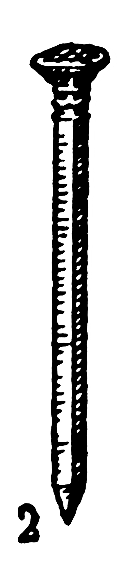 editorial designs